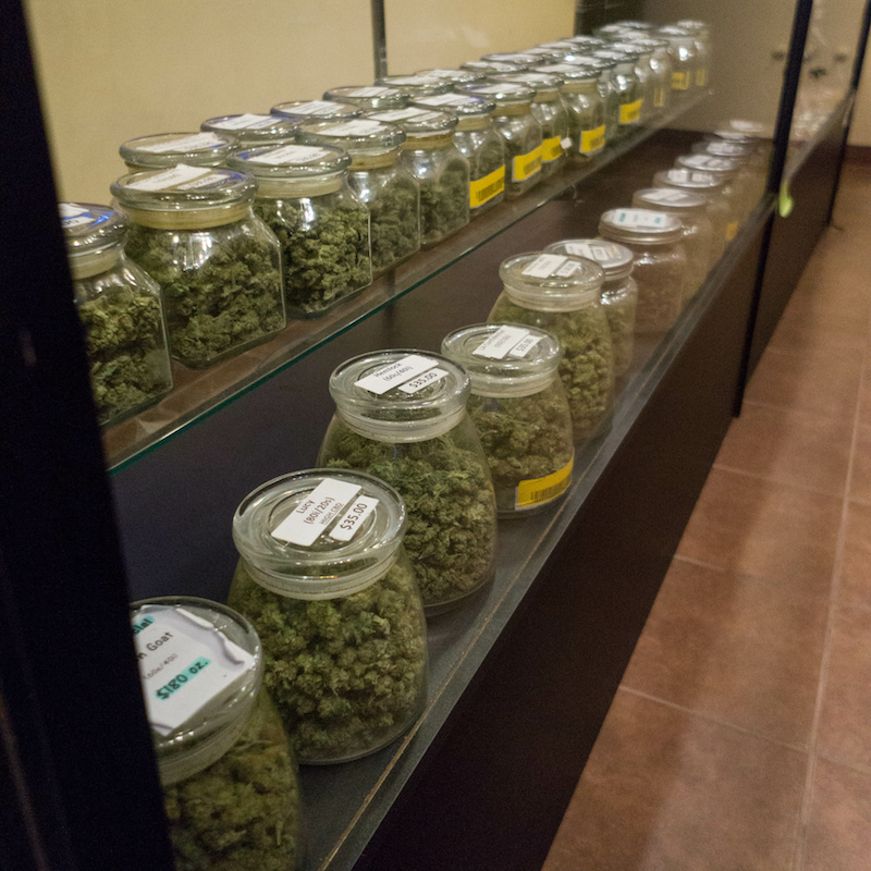 Jars of cannabis strains in an unlicensed dispensary.