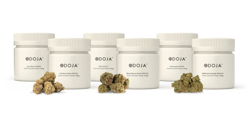 New products from DOJA