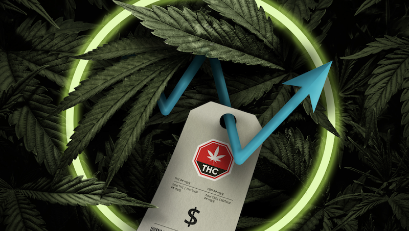 The cover photo of a new report on cannabis pricing