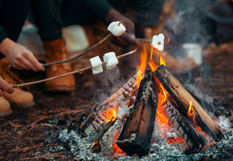 Close up of people frying marshmallow in forest