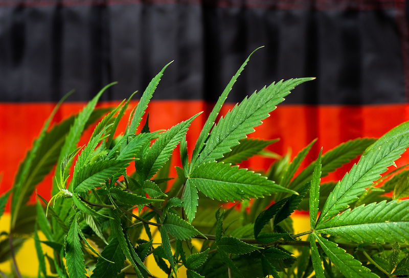 Cannabis plant with German flag in the background