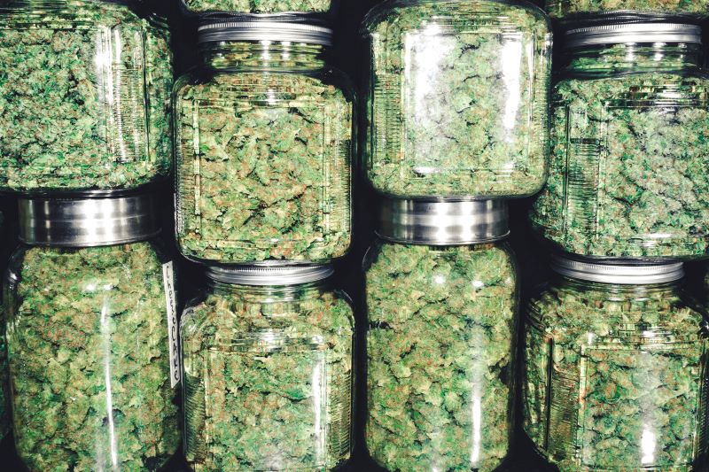 cannabis in stacked jars